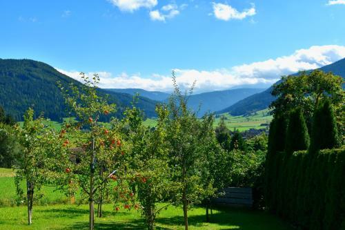 Hostal Pension Lasshofer