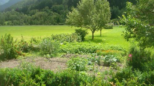 Agroturismo Bio-bauernhof Obertrattenbachhof