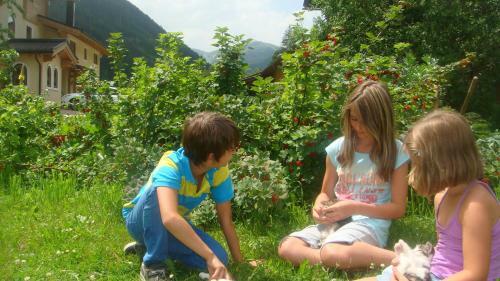 Agroturismo Bio-bauernhof Obertrattenbachhof