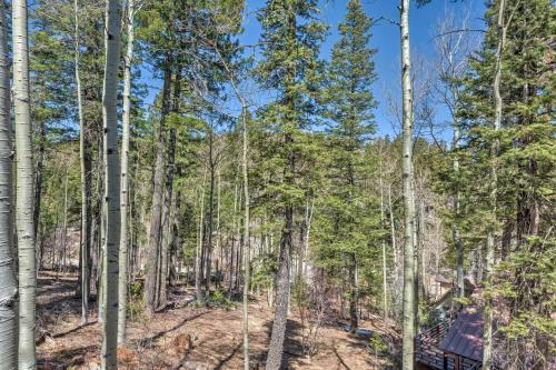 Quaint Cloudcroft Cabin With Stunning Forest Views!