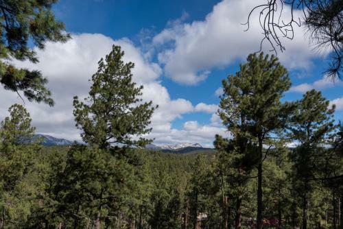 Aurora Montealis, 2 Bedrooms, Sleeps 4, Mountain Views, Fireplace, Wifi