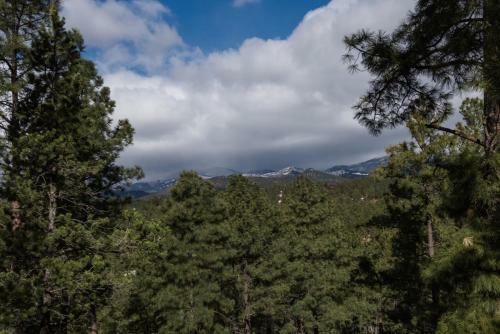 Aurora Montealis, 2 Bedrooms, Sleeps 4, Mountain Views, Fireplace, Wifi