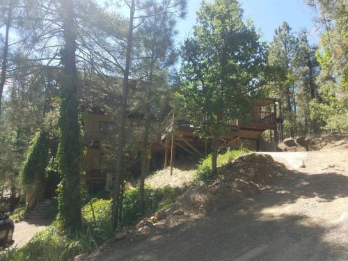 Lazy Bear Cabin