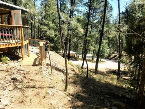 Bailey`s Cabin