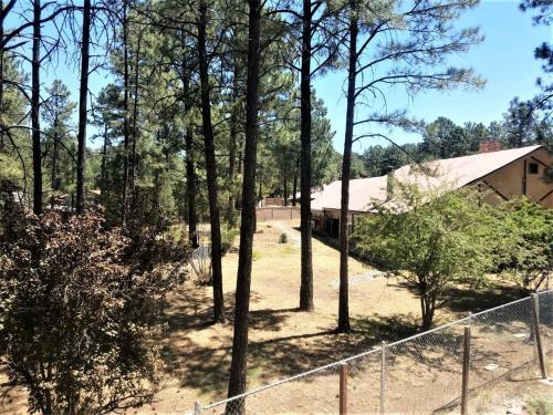 Apartamento Ol` Big Bear`s