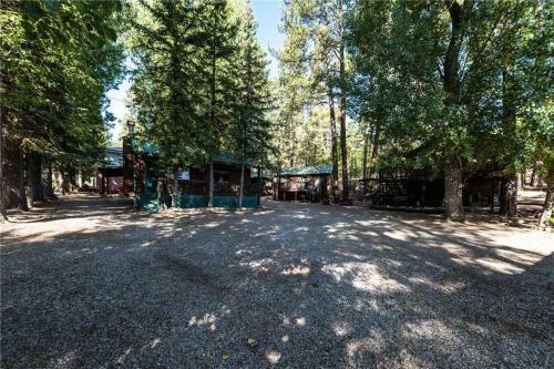 Cozy Bear 6, 1 Bedroom, Fireplace, Midtown, Sleeps 4