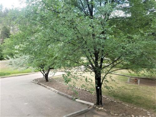 Apartamento Canyon Creek Condo 111