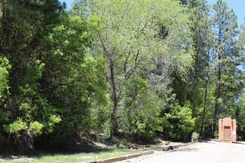 Apartamento Ccl #226