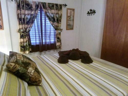 River Bear Cabin