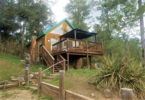 High Mountain Cabin