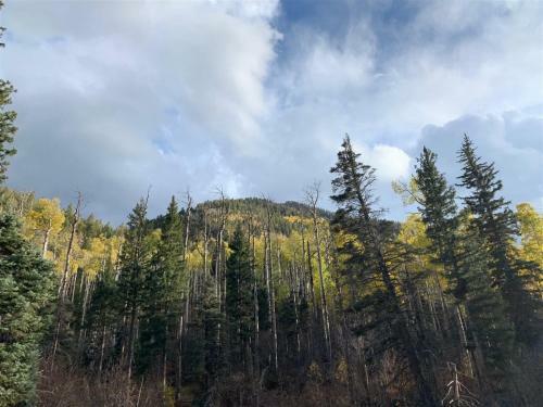 Breckenridge 1