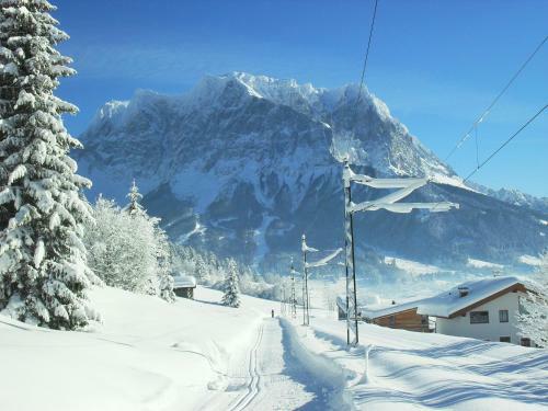 Hostal Haus Lusspark