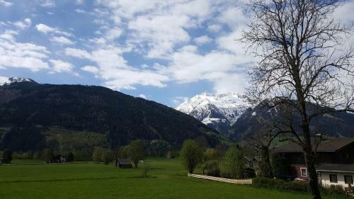 Apartamento Haus Steger
