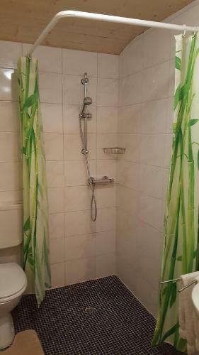 Apartamento Haus Steger