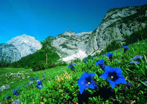 All Suite Hotel Garni Leithner
