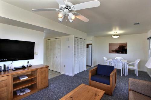 Clownfish & Cobia
