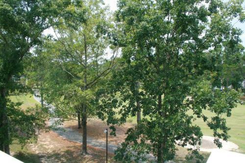 Apartamento 2109m Condo