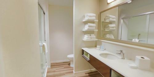 Hotel Hampton Inn & Suites Charlotte/ballantyne, Nc