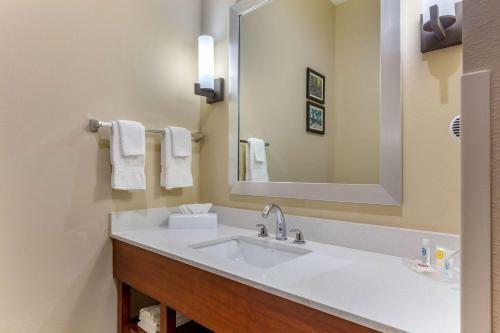 Hotel Comfort Suites Greensboro Airport