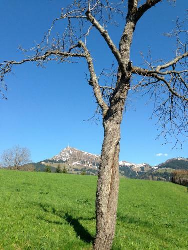 Apartamento Appartement Lisa Schweiger