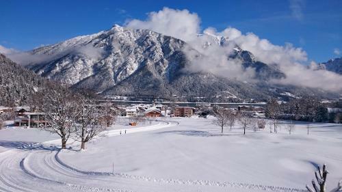 Apartamentos Appartementhaus Tristenau