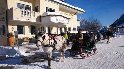 Apartamentos Appartementhaus Tristenau