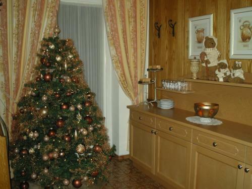 Hostal Bergheim