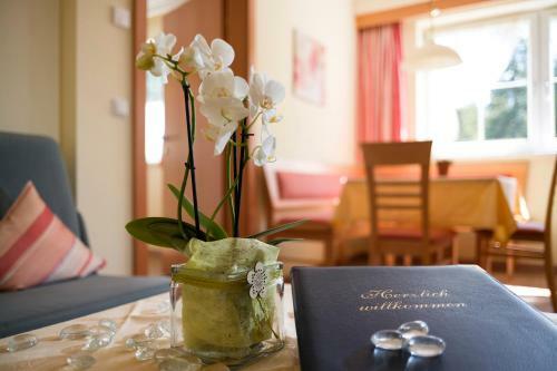 Apartamento Appartment Kinigadner