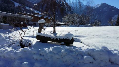 Hostal G�stehaus Reichholf