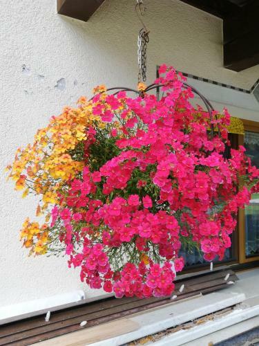 Hostal Haus Seppi