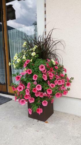Hostal Haus Seppi