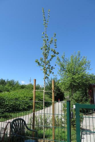 Apartamento Fewo-helga
