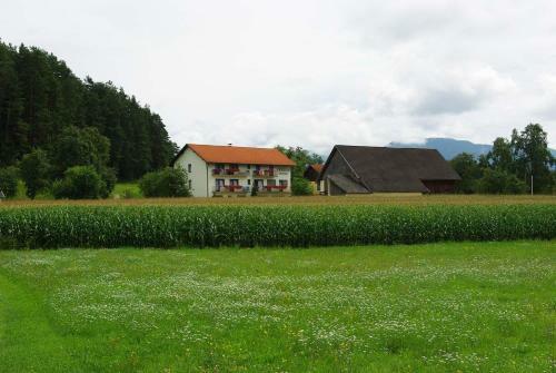 Hostal Pension Hribernig