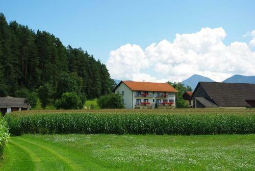 Hostal Pension Hribernig