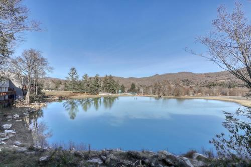 Snowlake D-22