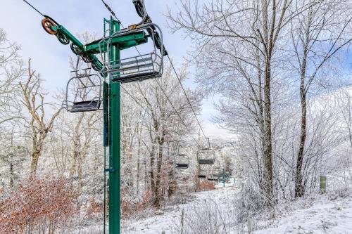 Snowlake D-22