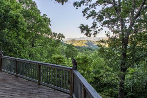 Wild Bird View