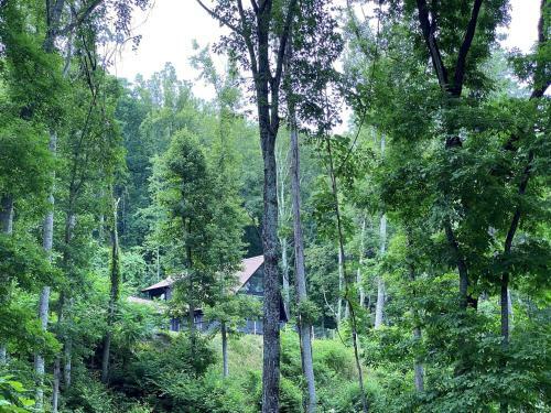 Dream Weaver Home