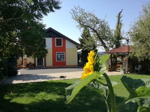 Hostal G�stehaus Dobida