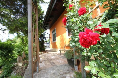 Hostal G�stehaus Dobida