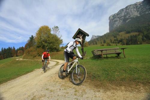 Apartamento Haus Loferer