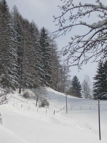 Hostal Gasthof Trattner Pension Waldhof