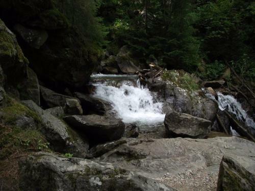 Bed & Breakfast Pension Edelweiss