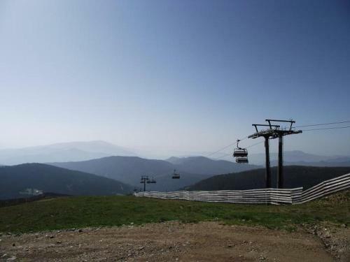 Bed & Breakfast Pension Edelweiss