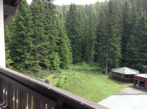 Bed & Breakfast Pension Edelweiss