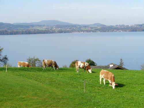 Apartamento Ferienwohnung Gaigg
