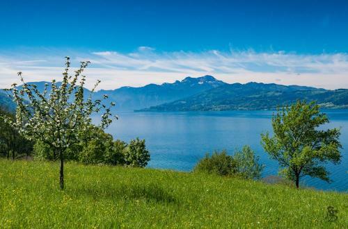 Apartamento Ferienwohnung Gaigg