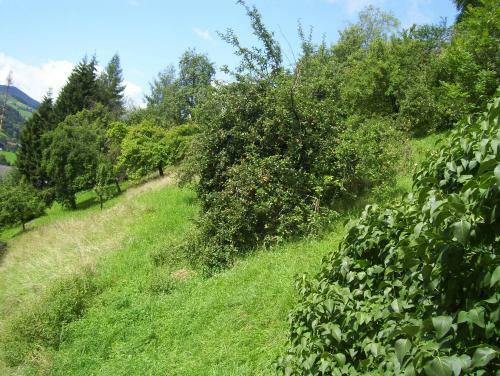 Hostal Gasthof Zur Post