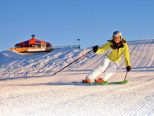 Holiday Home Chaletinaustria