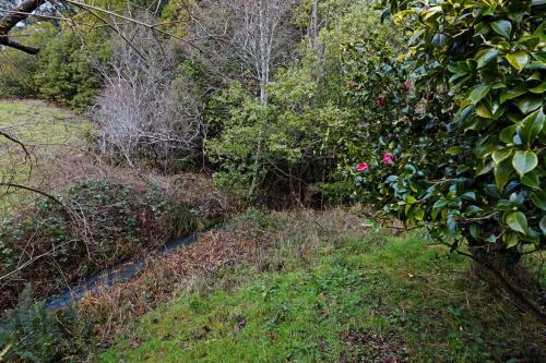2 Bed 1 Bath Vacation Home In Gold Beach